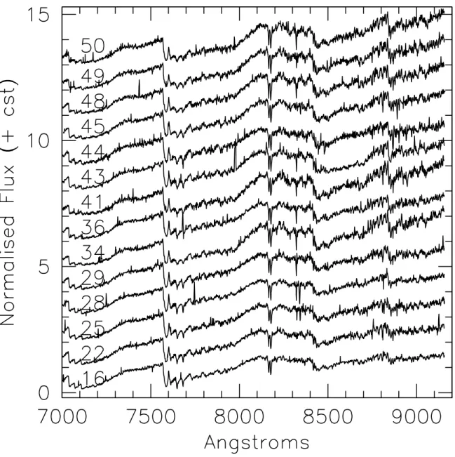 Fig. 7. FORS2 spectra of CFHT-BL VLM candidates whose number is given above each spectrum on the left hand side.