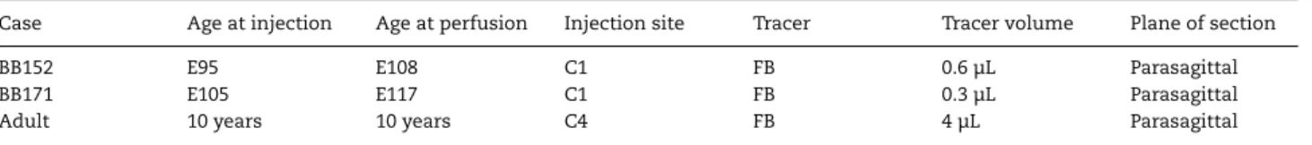 Table 1 Summary of experimental cases