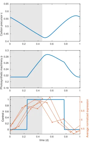 Figure 7: Optimal trajectory obtained numerically by the direct method using the bocop solver under day- day-night cycle