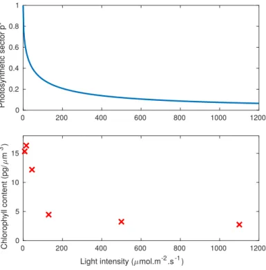 Figure 2: Optimal steady-state allocation for the photosynthetic sector p ? as a function of light intensity (top), see Lemma 2