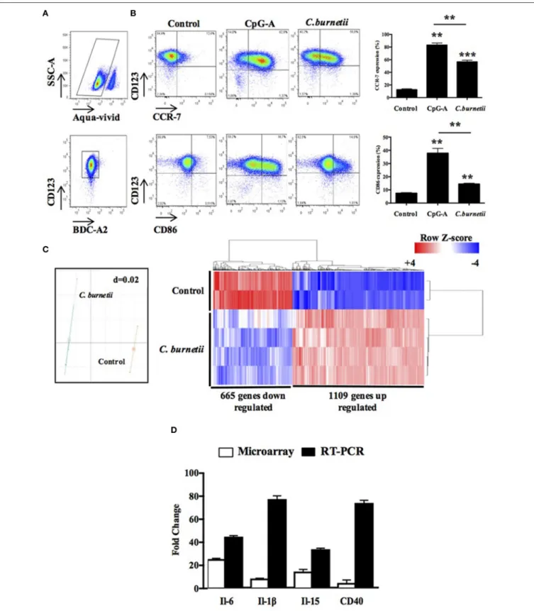 FIGURE 1 | Coxiella burnetii modulates an inflammatory response of pDCs. (A) Flow cytometer graphs showing the gating strategy to study pDCs