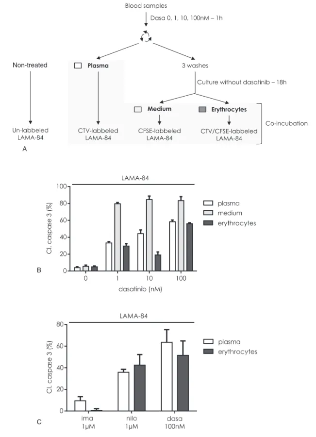 Figure 3. The constitution of an active pool of TKIs in erythrocytes depends on TKI concentration