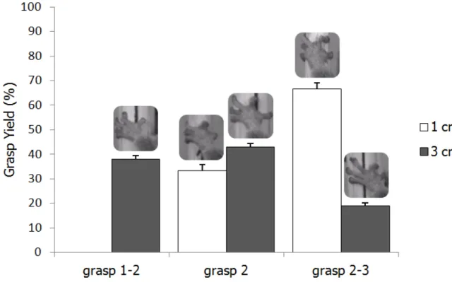 Figure  1.  Representation  in  percentages  of  each  grasp  type  used  by  Microcebus  murinus  for  the  vertical  substrates