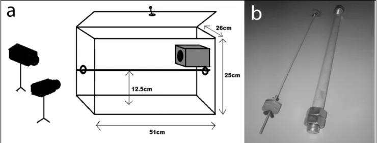 Figure 1. Experimental set up (a) and the two substrates (b) (diameters of 2 mm and 20 mm)