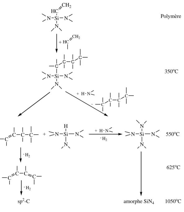 Figure I. 6. Mécanisme de pyrolyse sous argon proposé pour la minéralisation du  polyvinylsilazane  [24]