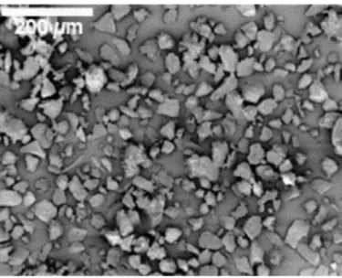 Figure 3. Exemple de particules de MIP obtenues par polymérisation en masse, après broyage [36]