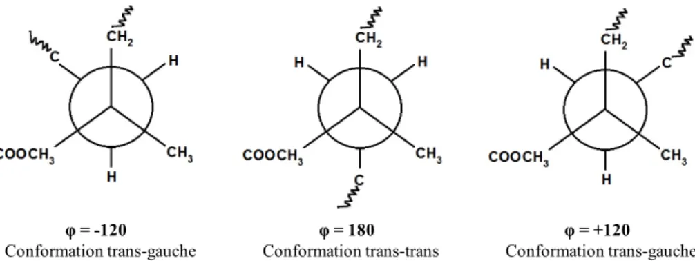 Figure  I-14 :  Conformations  cis  (a)  et  trans  (b)  du  groupement  ester  par  rapport  au  groupement α-méthyle