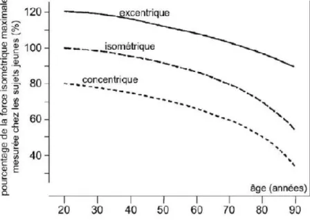 Figure 15 : Effet de l’âge sur la force musculaire évaluée selon différents modes de contraction; isométrique,  concentrique, excentrique (Vandervoort, 2002)