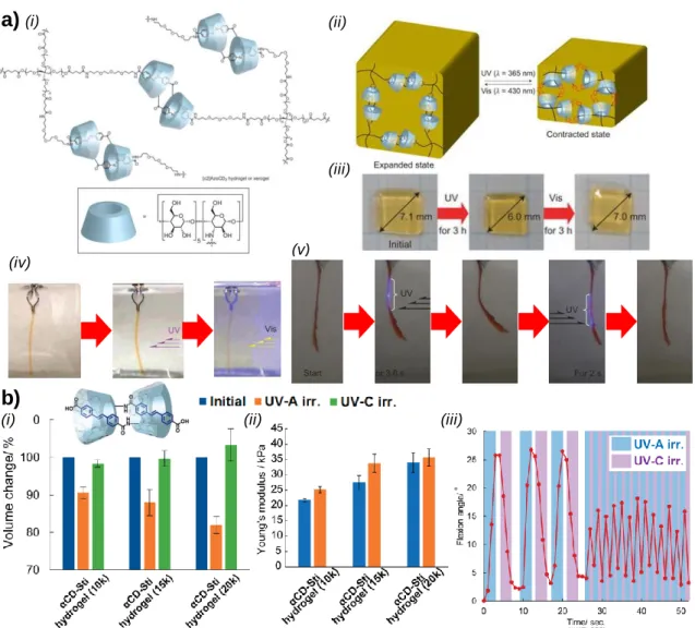 Figure 8. a)  (i) Chemical structure of the covalent polymer network made of  α-cyclodextrin- α-cyclodextrin-based  [c2]daisy  chain  rotaxanes,  (ii)  Schematic  representation  of  the  contraction  and  extension of a piece of gel upon UV and Visible li