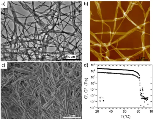 Figure  2. a-b) TEM (a) and AFM (b) images of a 1 mM solution of compound 1 in toluene; c) SEM image of the aerogel obtained from the  cooling to room temperature of a 15 mM solution of compound 1 in hot toluene; d) Variation of the storage G’ and loss G’’