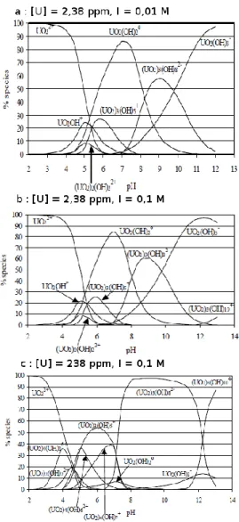 Figure I.2. Spéciations de l’uranium aqueux dans l’eau pure à différentes concentration  initiale d’uranium et forces ioniques : a) [U] ini  = 2,38 ppm, I = 0,01 M, b) [U] ini  = 2,38 ppm, I =  0,1 M, c) [U] ini  = 238 ppm, I = 0,1 M