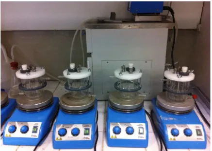 Figure  II.2.  Montage  expérimental  utilisé  pour  les  tests  d’adsorption  de  U(VI)  en  système  fermé « batch »