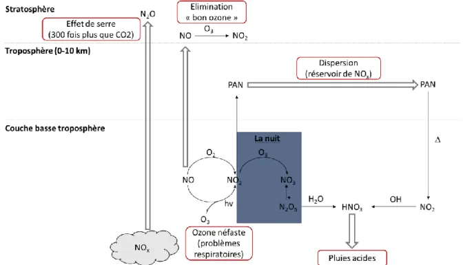 Figure I-4. Description des interactions et effets possibles des NO x  dans l’environnement