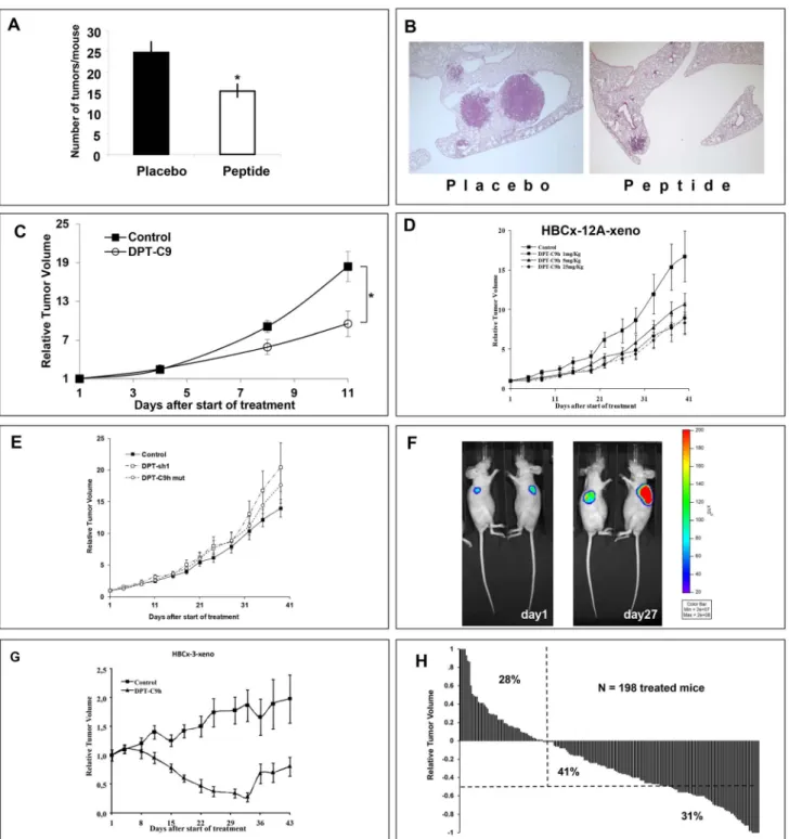 Figure 6. In vivo therapeutic efficacy of DPT-C9 and DPT-C9h. A) The peptide DPT-C9 was administrated IP at 5 mg/kg once daily, 5 days a week for 4 weeks in the K-Ras LA1 adenocarcinoma mouse model, showing a significant decrease in lung tumour burden comp