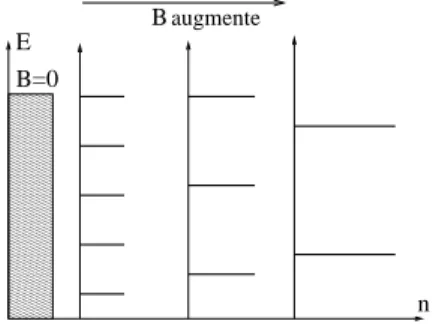 Fig. 2.1 – Quand un champ magn´etique est impos´e au syst`eme des niveaux de Landau apparaissent.