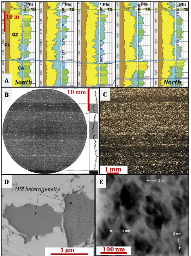 Figure  3.  Illustration  of  spatial  heterogeneities  of  shale  formation  at  a  multiscale  on  the  example  of  Barnett  shale  (Fort  Worth  Basin,  Texas,  USA)