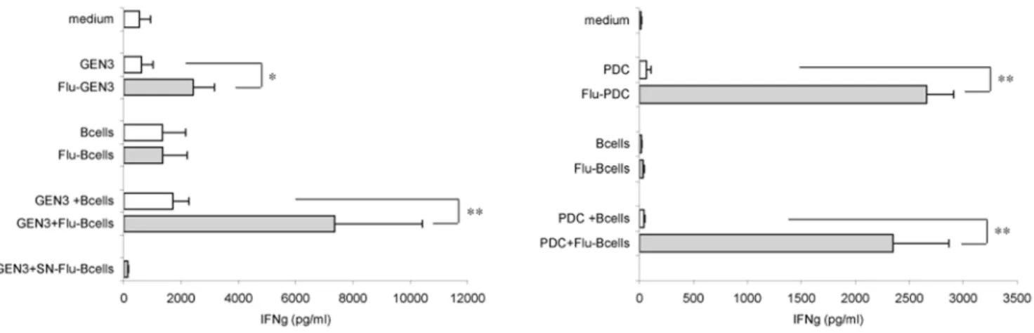 Figure 6. PDC cross-present viral antigens derived from flu-B cells to influenza-specific CD8+ T lymphocytes