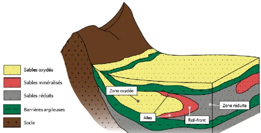 Figure  I-4 :  Géométrie  simplifiée  des  éléments  et  compartiments  d’un  gisement  d’uranium de type roll-front