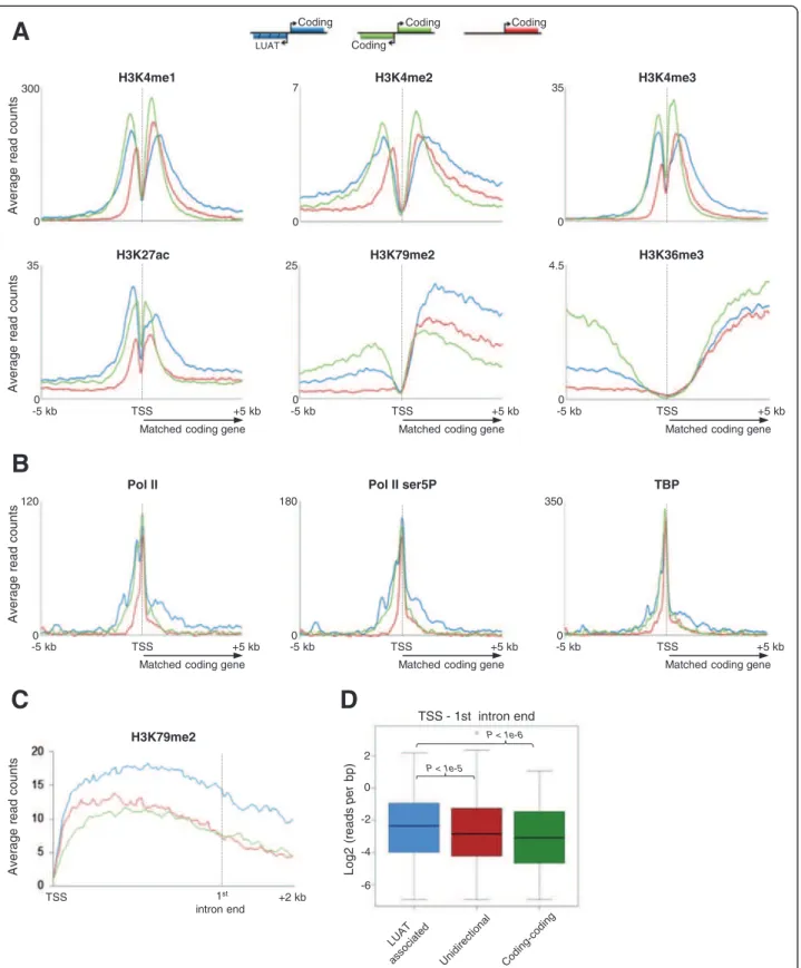 Figure 6 Chromatin characteristics of LUAT-associated promoters in DP thymocytes. Average profiles of ChIP-seq signals of the indicated histone modifications (A) and general transcription factors (B)