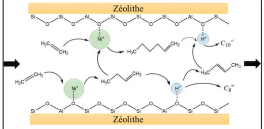 Figure 13 : Mécanisme bifonctionnel de l’oligomérisation de l’éthylène sur Ni/zéolithe [30]