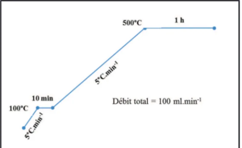 Figure 9 : Méthode de prétraitement du catalyseur avant  chaque test catalytique. 