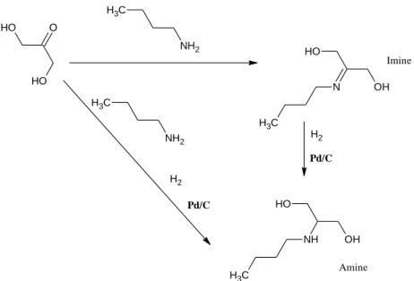 Figure 19 : Chemin réactionnel pour la formation d’une amine à sept carbones 