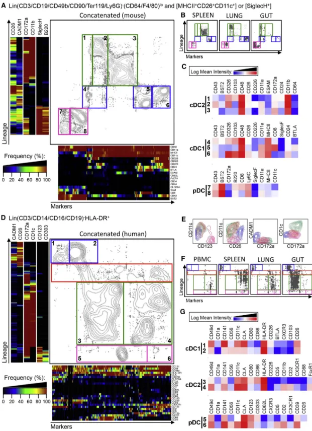 Figure 6. One-SENSE Unsupervised Analysis of CyTOF Data to Simultaneously Define DC Subsets and Their Heterogeneity across Mouse and Human Tissues