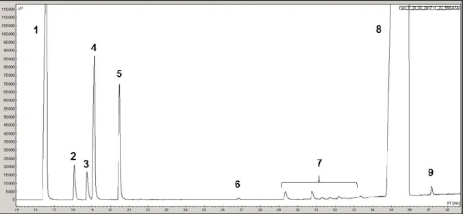 Figure II-12. Chromatogramme type pour la transformation de l’hex-1-ène en présence d'H 2 S