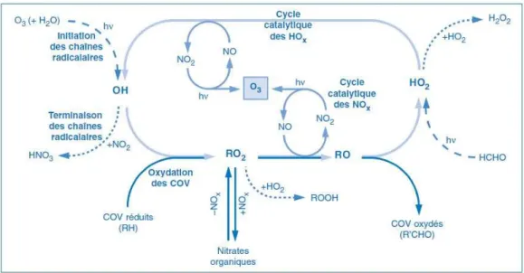 Figure I-2 : Représentation schématique des principaux mécanismes impliqués dans la formation de l'ozone troposphérique  [12] 