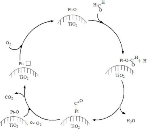 Figure I-15 : Oxydation catalytique du formaldéhyde par le platine supporté sur TiO 2  selon H