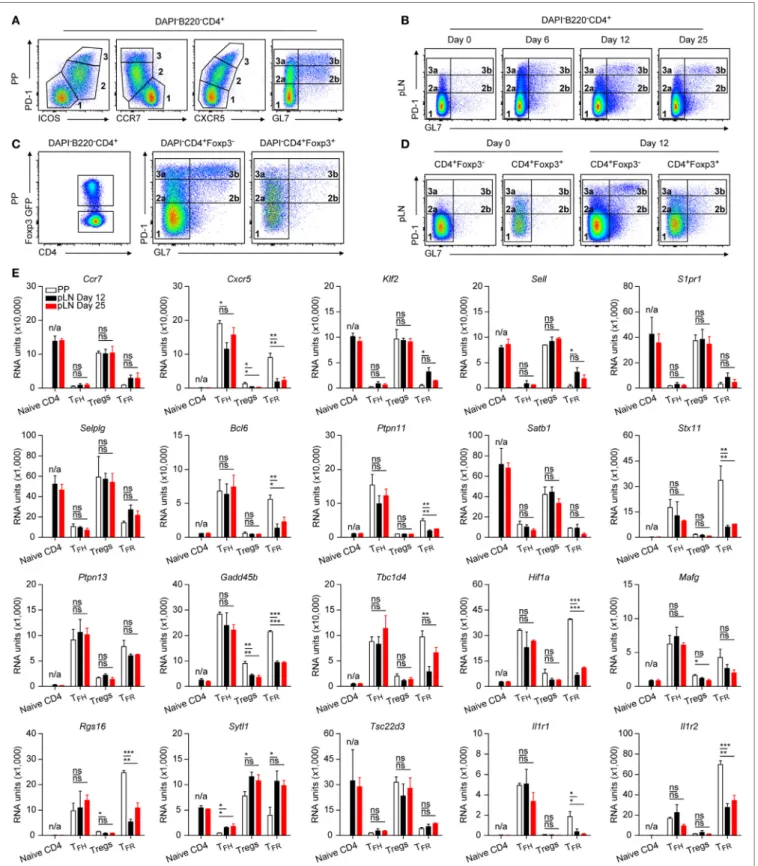 FigUre 1 | Characterization of follicular CD4 T cells. (a–D) Flow cytometry profiles of different T FH  cell markers as indicated expressed on CD4 T cells from Peyer’s  Patches (PP) and peripheral lymph node (pLN) 6, 12, or 25 days p.i