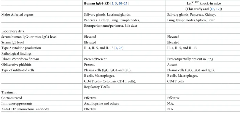 Table 1. Comparison of clinical and pathological features between human IgG4-RD and Lat Y136F knock-in mice.