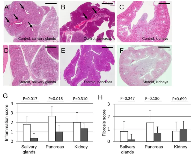 Fig 4. Effect of corticosteroid treatment from 4 weeks of age on Lat Y136F knock-in mice