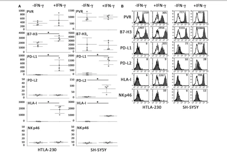 FIGURE 6 | Constitutive and IFN-γ-induced immunophenotype of NB cells cultured for 7 days in 2D systems
