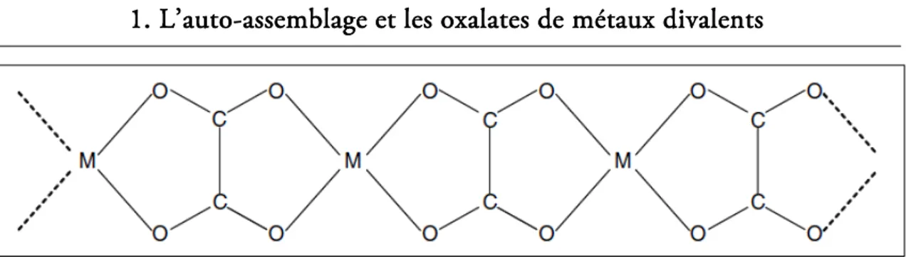 FIG.  1.7  -  Représentation schématique de la structure moléculaire  en ruban de la  structure type des oxalates de métaux divalents isomorphes (d’après Baran et al