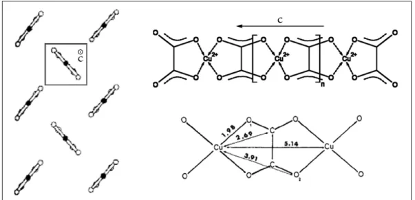FIG.  1.8  -  Représentation schématique des molécules en ruban de CuC 2 O 4   et de leur  arrangement dans la structure cristalline (d’après Jongen et al