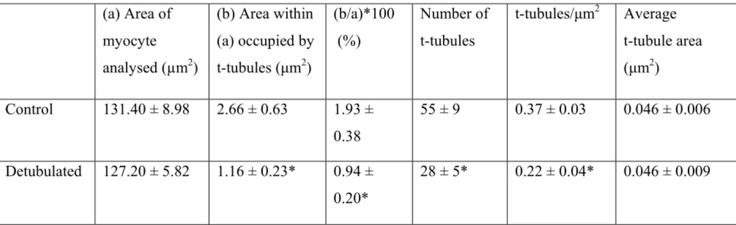 Table 1. T-tubule characteristics determined from TEM images of control and detubulated rat  ventricular myocytes, obtained as described in Methods