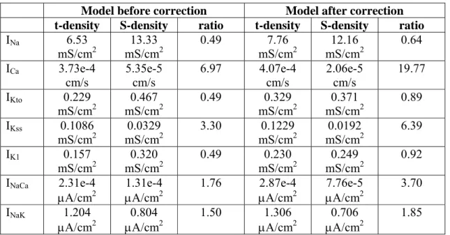 Table 3.  Parameters determining the density of ion flux pathways in the t-tubular (t-density) and  surface (S-density) membranes in the model, showing the effect of correcting for current fraction  on current density