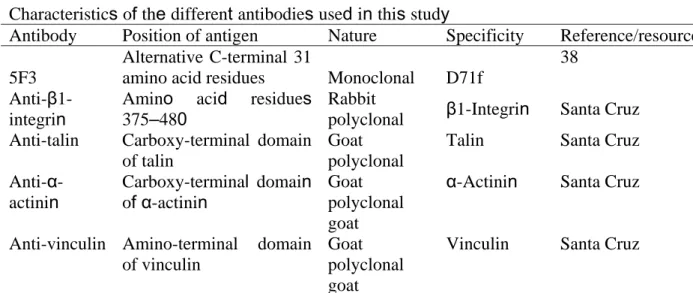 Table 1. Antibodies used in this study  