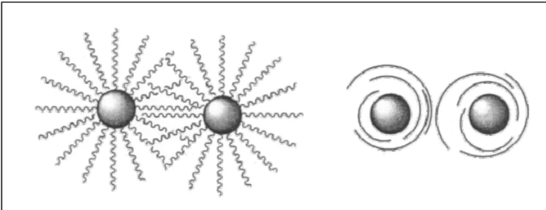figure 2.2: Mécanisme de stabilisation de nanoparticules par un ligand ou un polymère