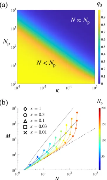 FIG. 2. Scaling in the dynamic hidden variable model. (a) Frac- Frac-tion of inactive nodes in the populaFrac-tion, q 0 