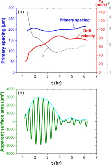 FIG. 5. Evolution of the apparent surface area for the cells present in the (a) left and (b) right sides of the interface, for V p = 1 