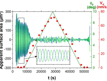TABLE IV. Domain size and oscillation characteristics measured in the numerical simulations without spatiotemporal noise