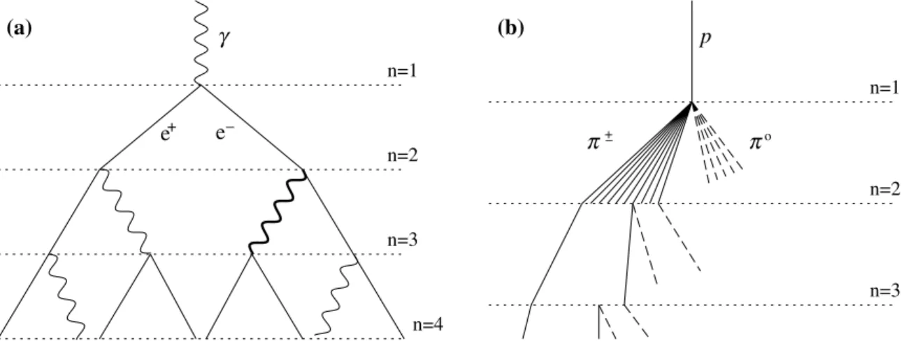 Figure 2.8 shows a schematic view of this model. Each particle splits into two new particles after having traveled a thickness d = X 0 ln2.