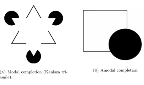 Figure 1. The two different neurophysiological types of contour completion.