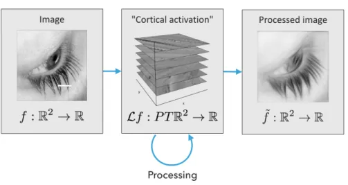 Figure 4. A schematic of the pipeline for image reconstruction.