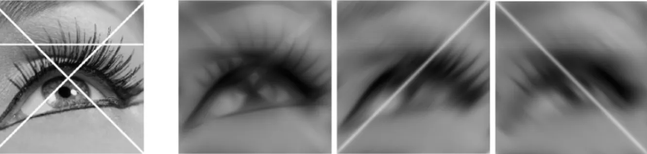 Fig. 2 From the left to right: the corrupted image and three processed images showing the anisotropic nature of the diffusion