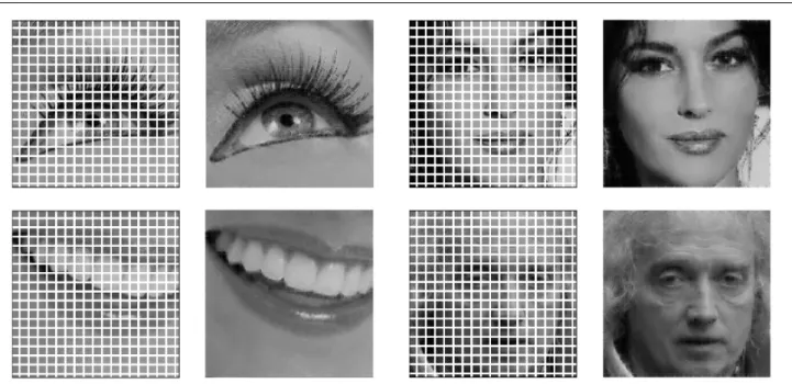 Fig. 4 Images reconstructed with the hypoelliptic equation with varying coefficients and the DR procedure, Section 3