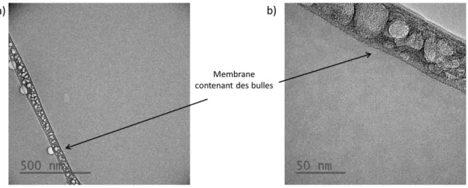 Figure 21 : Image cryo-MET d’une solution d’AOT concentrée à 55CVC (5 g/L) dans la  saumure 