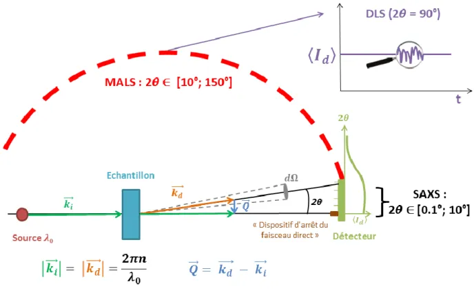 Figure 25 : Principe des techniques de diffusion utilisées : SAXS, MALS et DLS  5